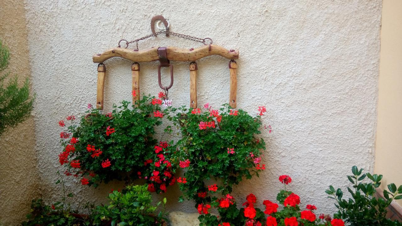 B&B A Casa Di Nonna Massa d'Albe Экстерьер фото