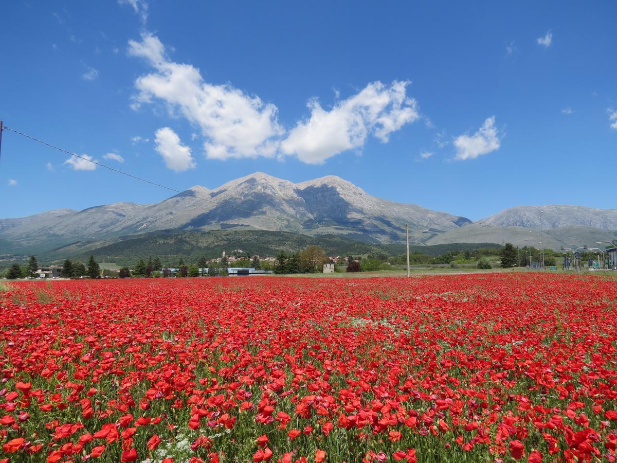 B&B A Casa Di Nonna Massa d'Albe Экстерьер фото